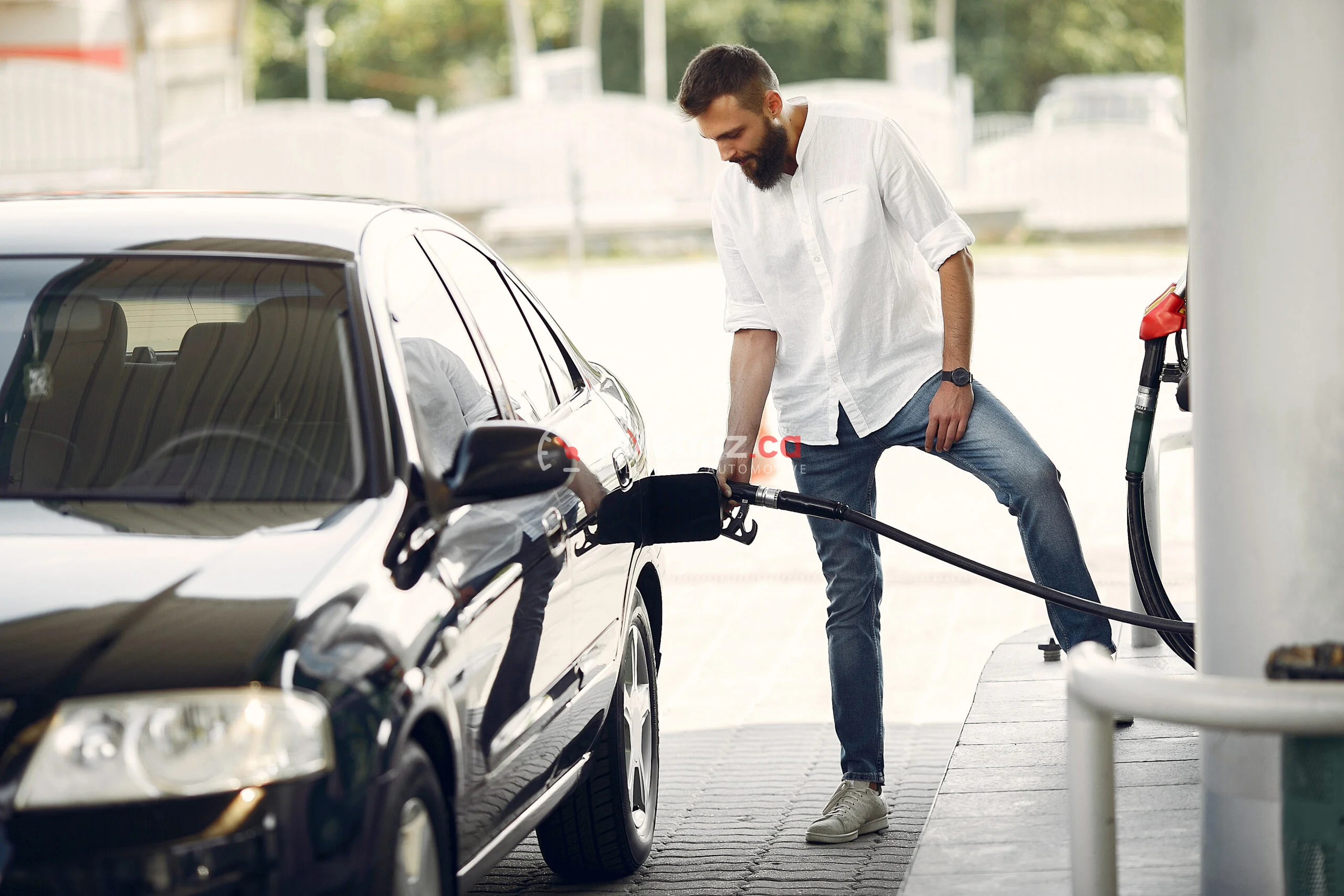 The Ultimate Guide to Car Insurance in Canada 1 The Ultimate Guide to Car Insurance in Canada