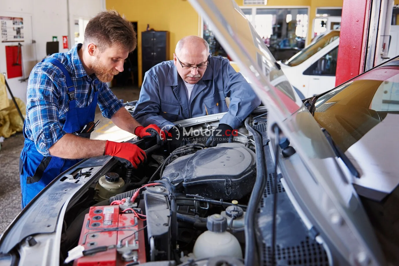 Car Insurance for International Drivers