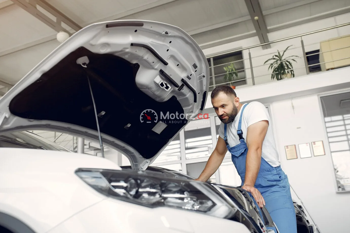 Top-Rated Auto Detailing Services in Kitchener 1 Auto Detailing Services in Kitchener