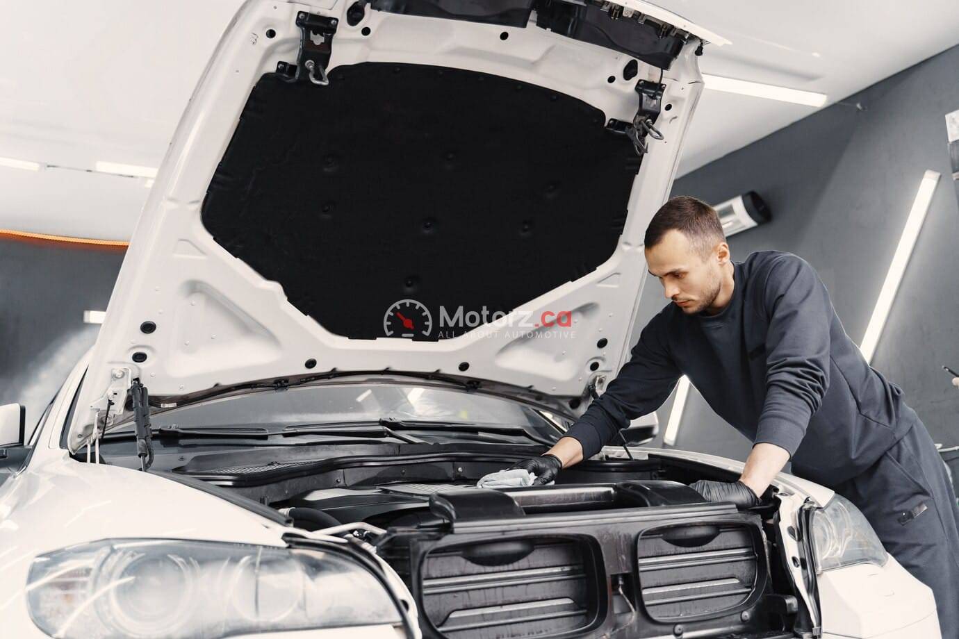 Milton’s Motor Oil Madness: A Comparison of Popular Engine Oils