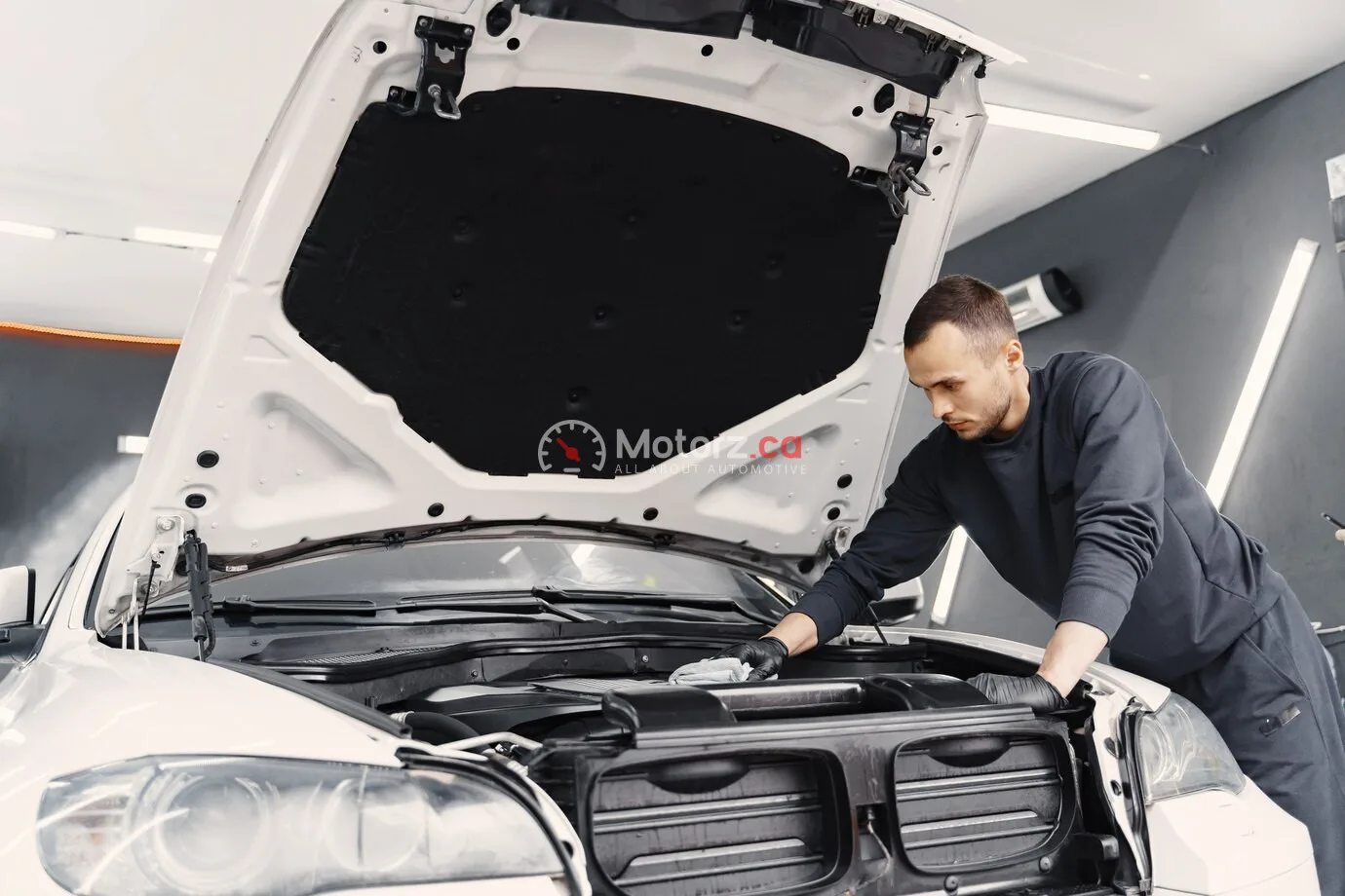 Milton’s Motor Oil Madness: A Comparison of Popular Engine Oils