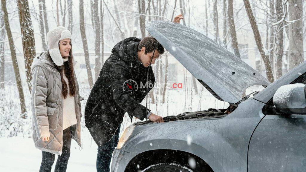 Ottawa's Harsh Winters