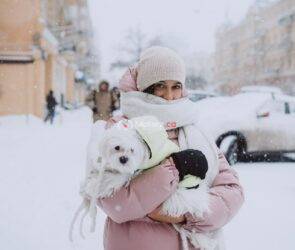 Winter Driving with Pets