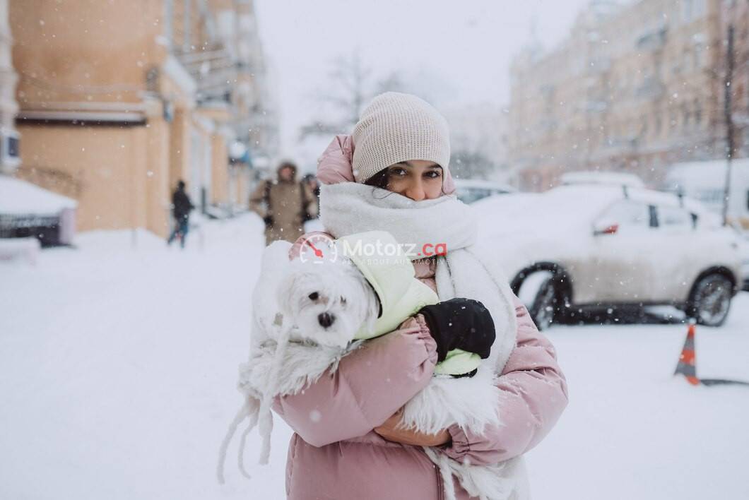 Winter Driving with Pets: Tips for Safe Pet Travel