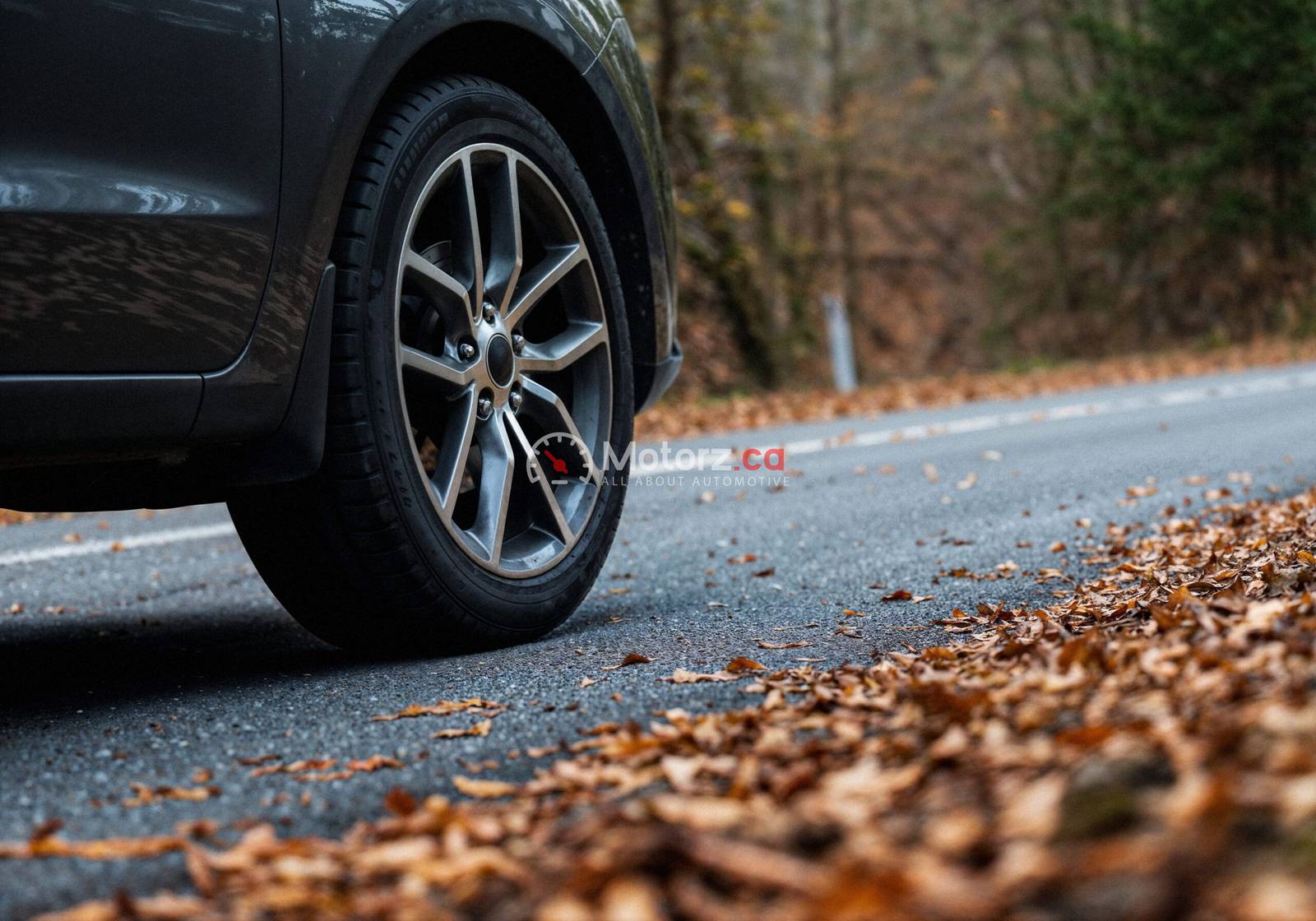 Best Performance Tires for Ontario Roads: Summer vs. All-Season