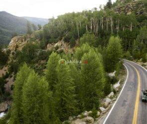 Scenic Drives Around Vancouver