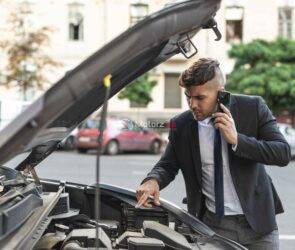 Breakdown of Winnipeg's Drive