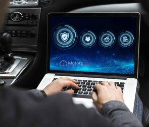 Warranties of Software