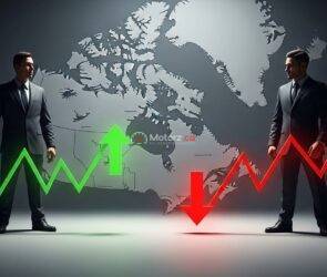 Canadian Auto Insurance