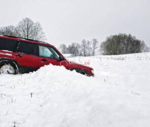 Frozen Car Survival Guide