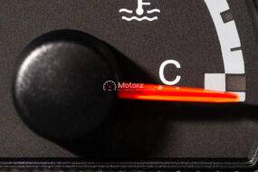 Taming the Cold-Blooded