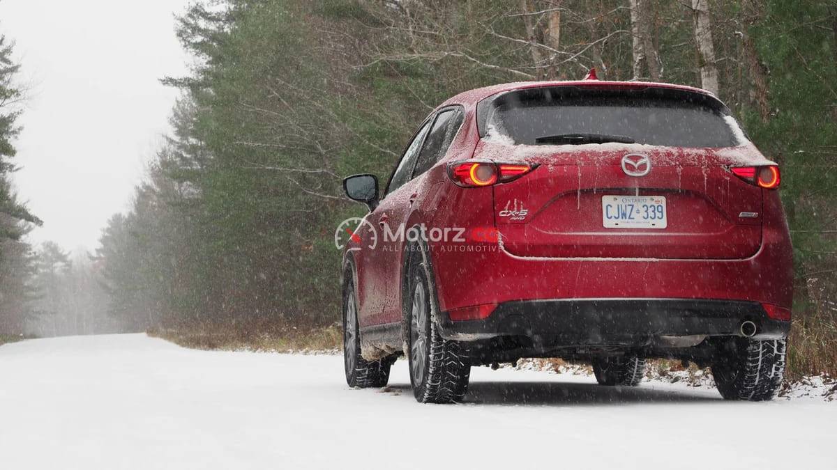 Vehicle Winterization Guide: How to Prevent Your Car from Getting "Frostbite" 1 Vehicle Winterization