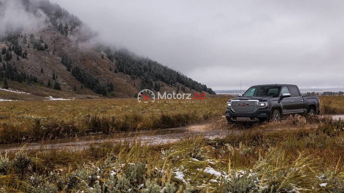 Driving Into the Wilderness