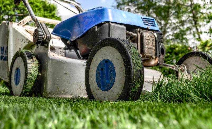 Small Engines, Massive Headaches: How to Prevent the Most Common Small Engine Failures