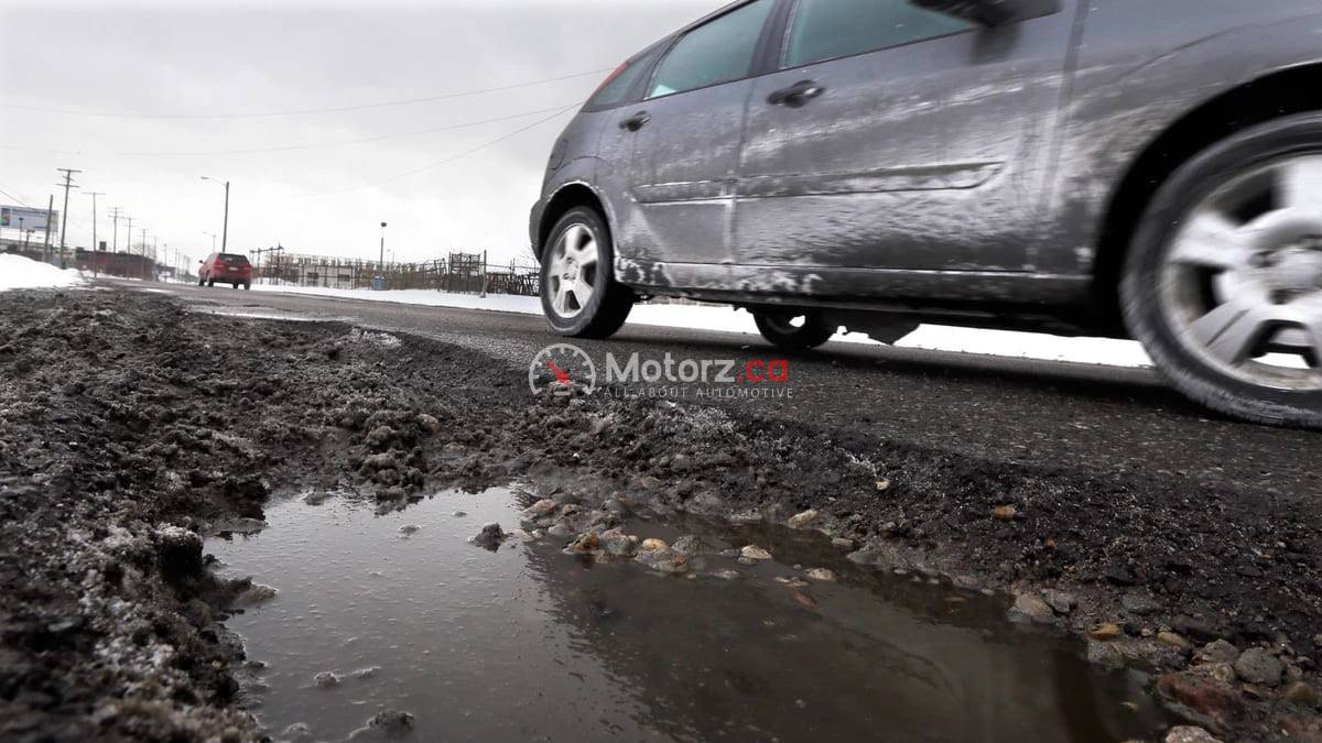 Spring Maintenance Trap