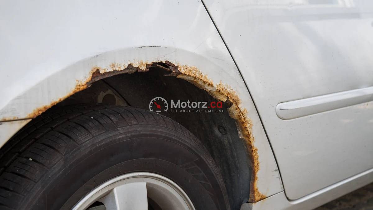 Automotive Corrosion