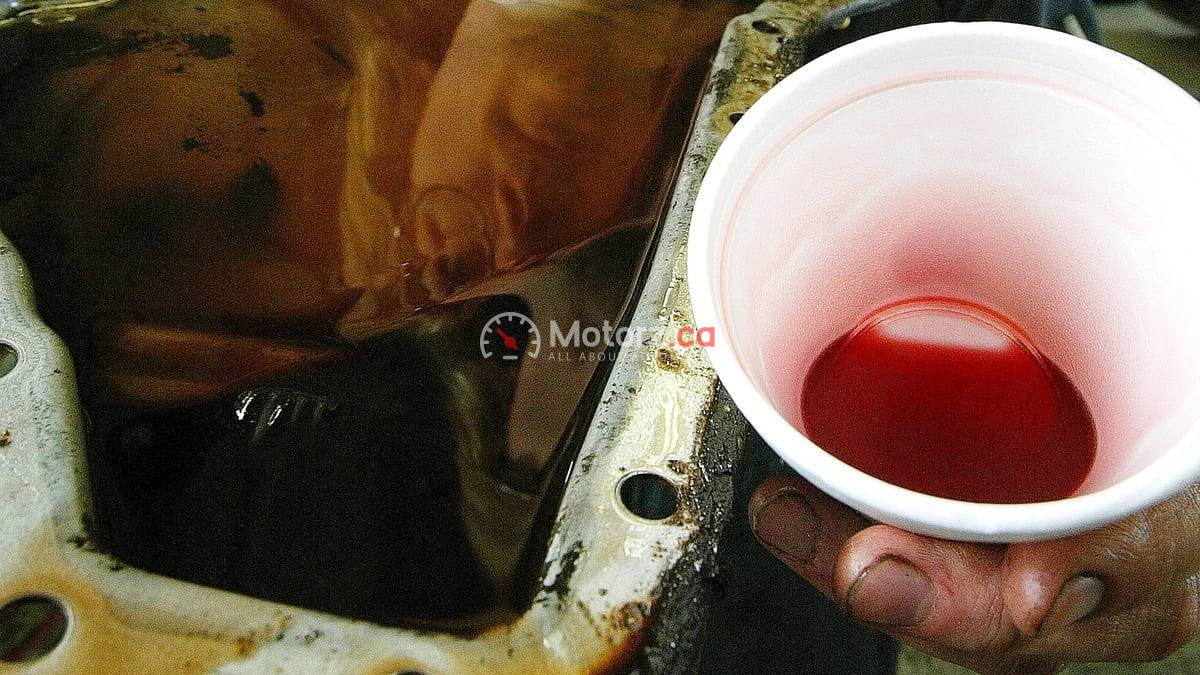 Car Fluid Maintenance