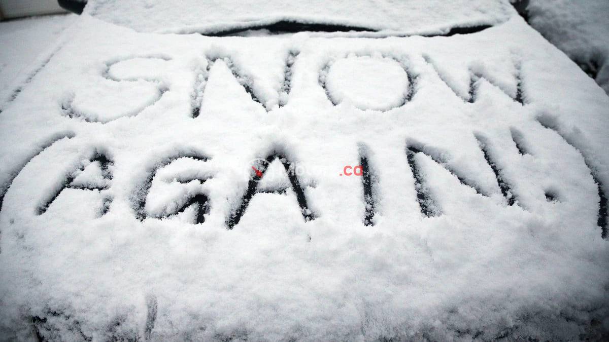 Winter Survival Guide