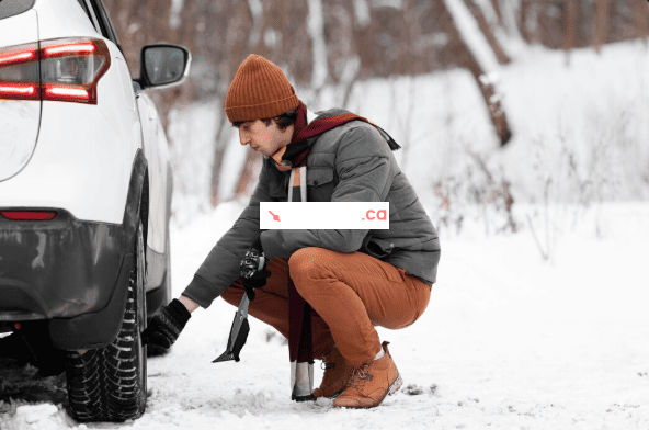 Winter Tire